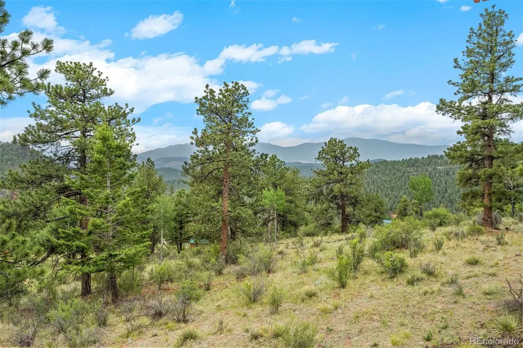 88 Cedar Lane Bailey CO 80421