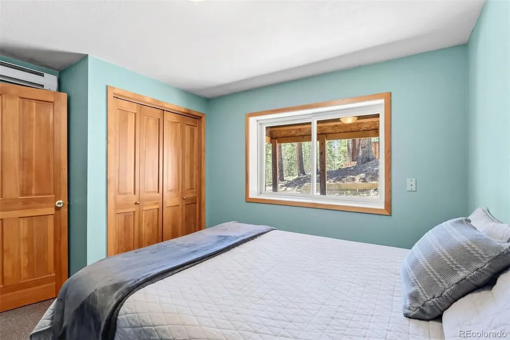 1233 Baldy Road Breckenridge CO 80424