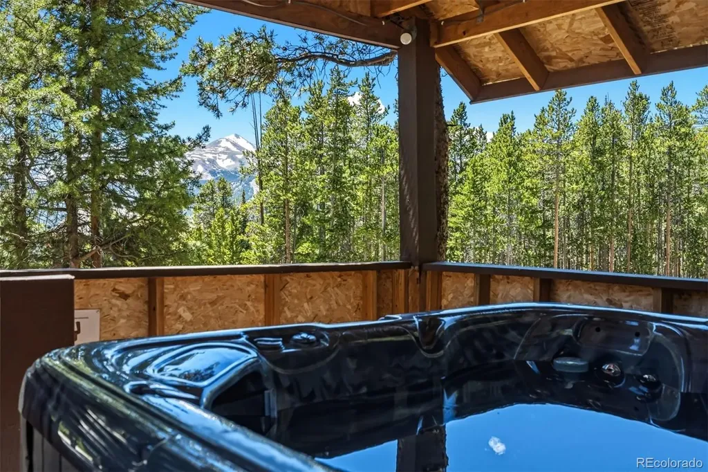 1233 Baldy Road Breckenridge CO 80424