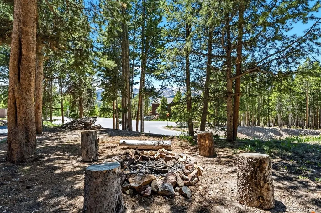 1233 Baldy Road Breckenridge CO 80424