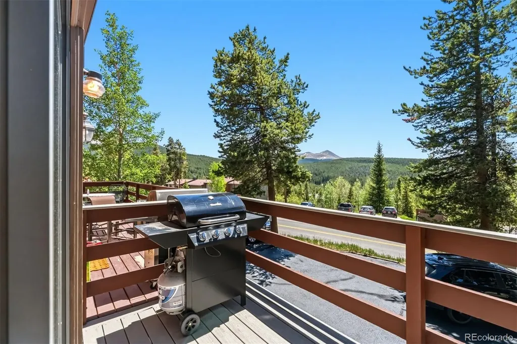 1233 Baldy Road Breckenridge CO 80424