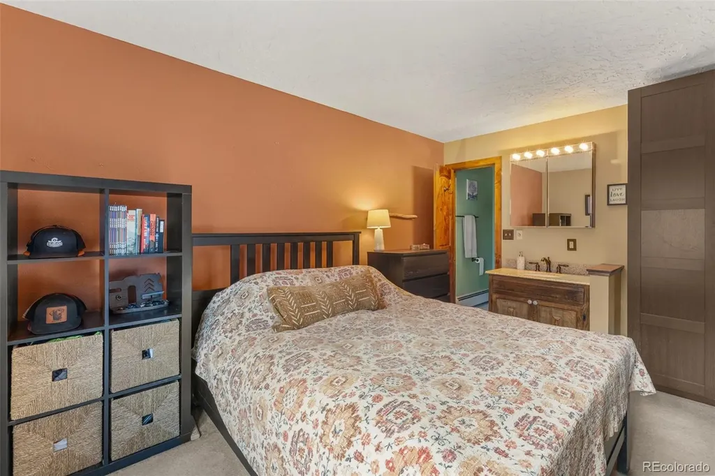 304 Ryan Gulch Court Silverthorne CO 80498