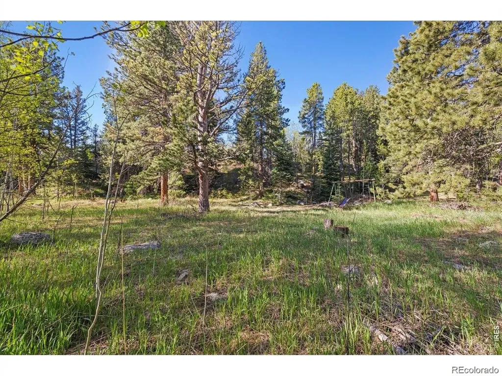 105 Caribou Street Nederland CO 80466
