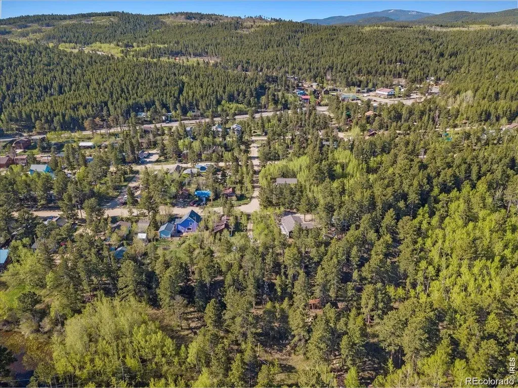 105 Caribou Street Nederland CO 80466