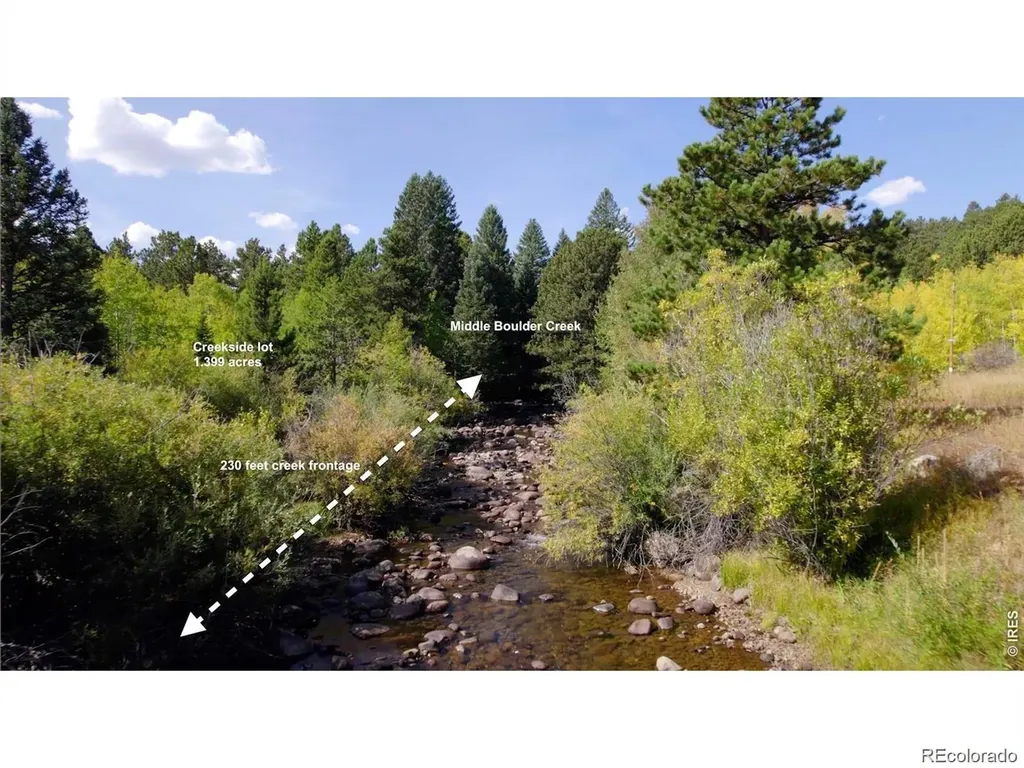 105 Caribou Street Nederland CO 80466