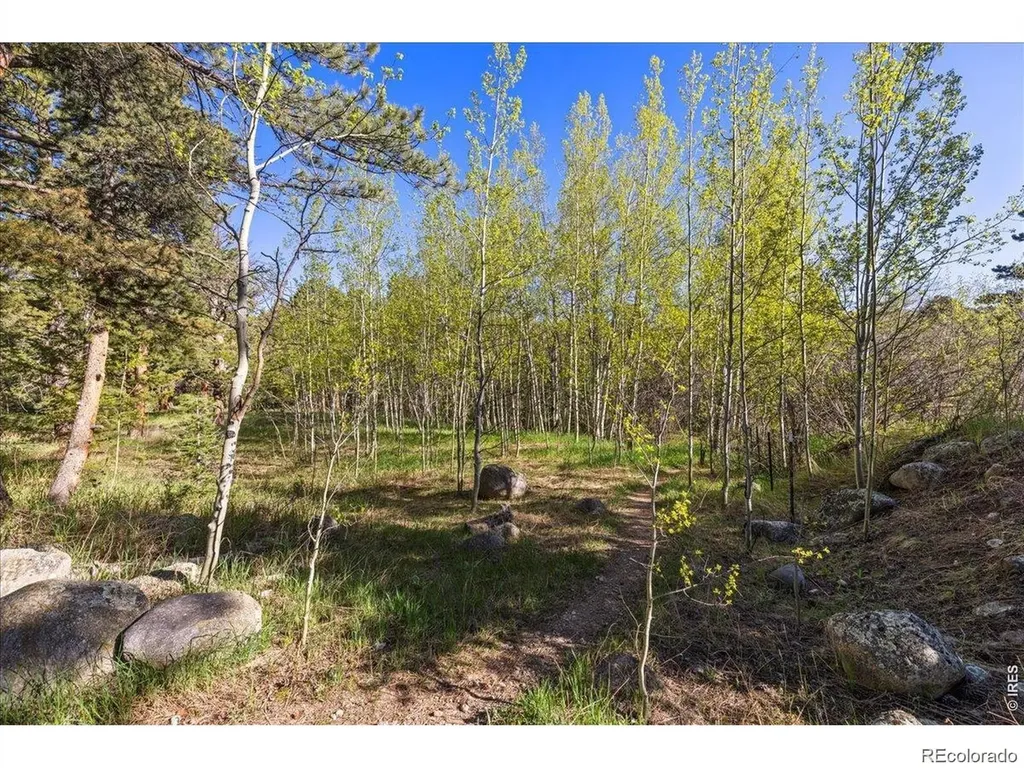 105 Caribou Street Nederland CO 80466