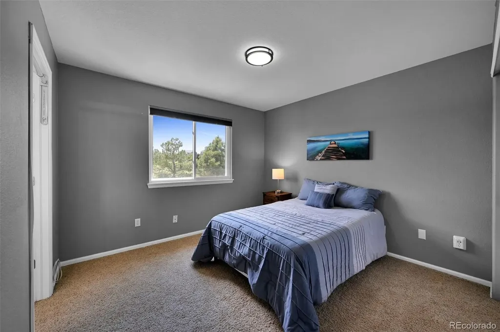 21354 White Pine Court Parker CO 80138