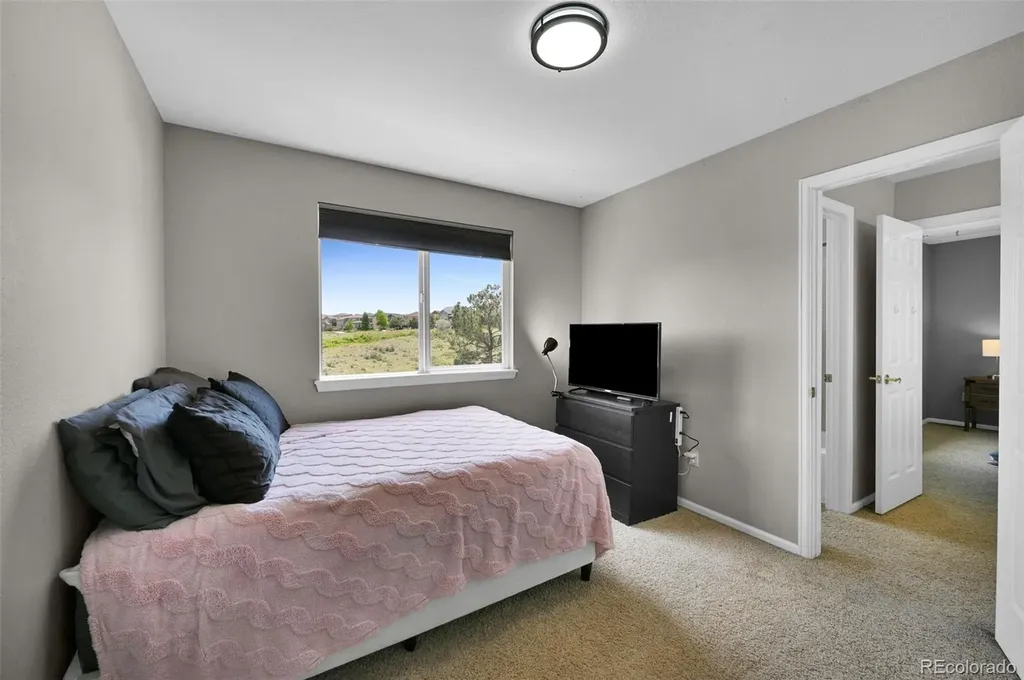 21354 White Pine Court Parker CO 80138