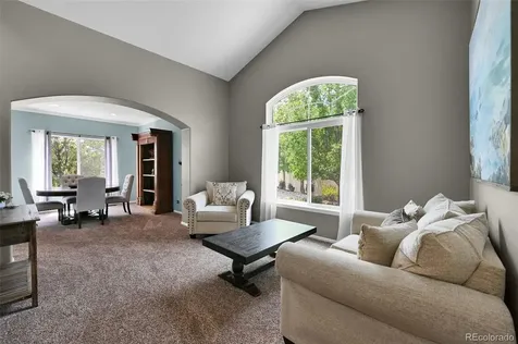 21354 White Pine Court Parker CO 80138