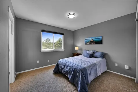 21354 White Pine Court Parker CO 80138