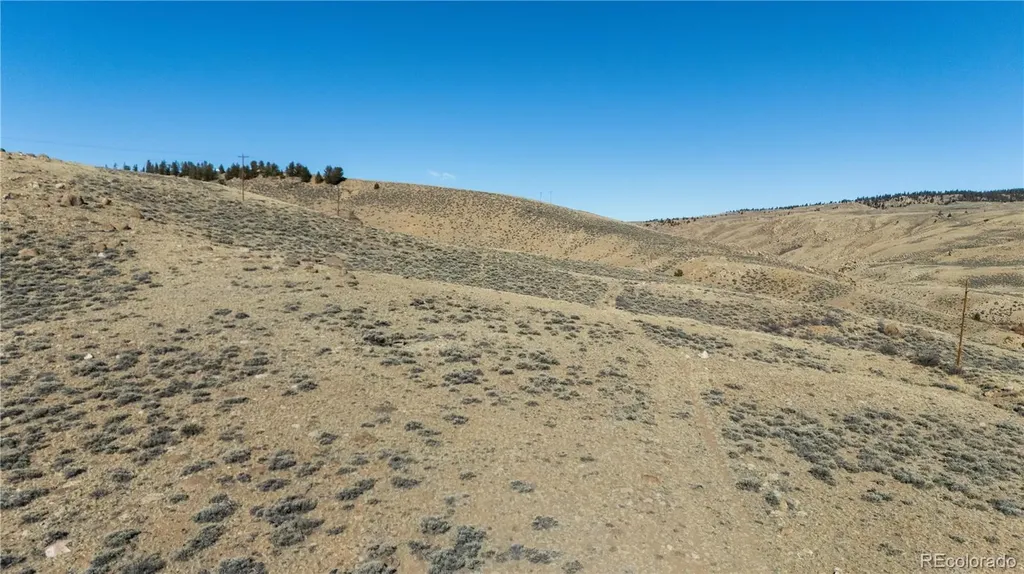 Prcl 8 Trct 3-a Twin Lakes CO 81251
