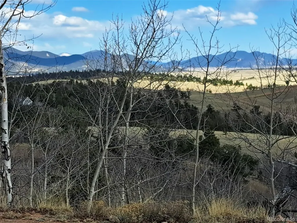 908 Raven Way Como CO 80432
