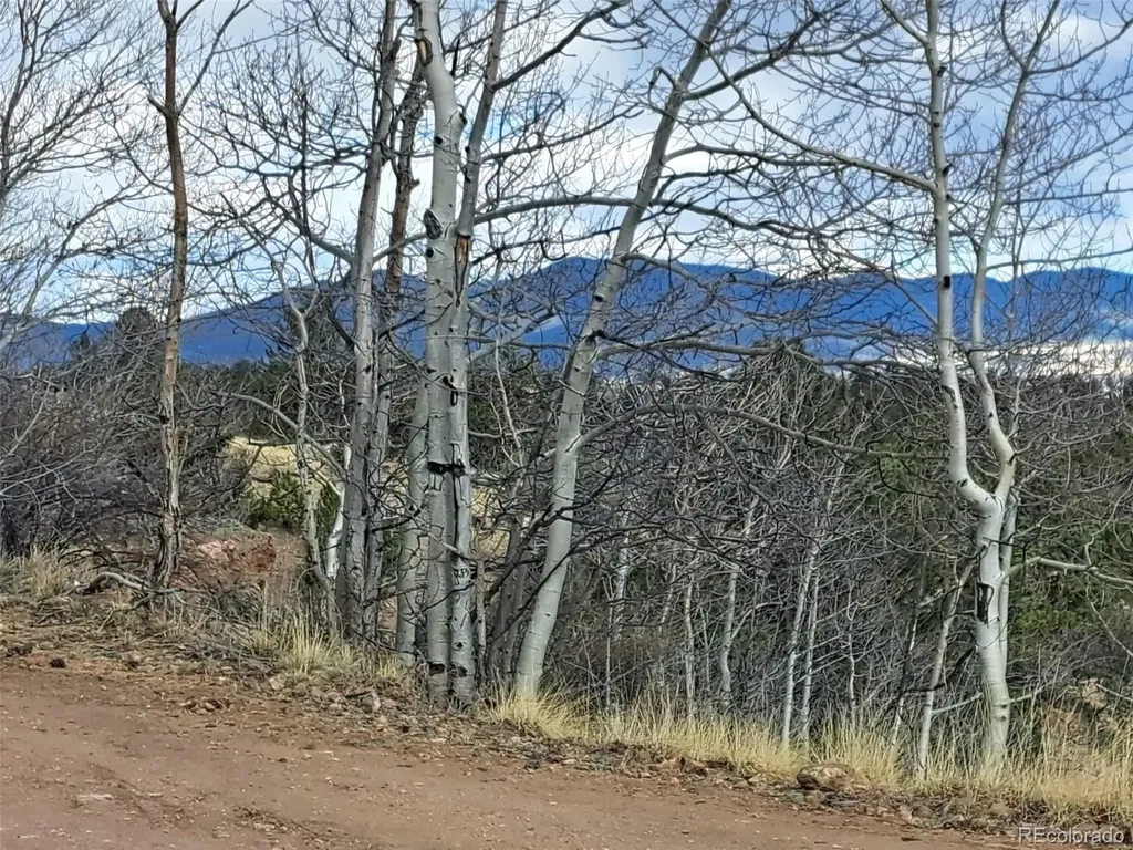 908 Raven Way Como CO 80432