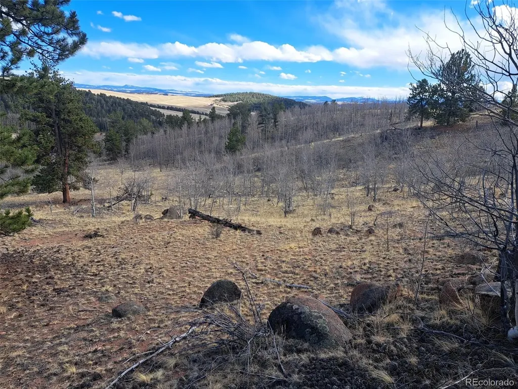 908 Raven Way Como CO 80432
