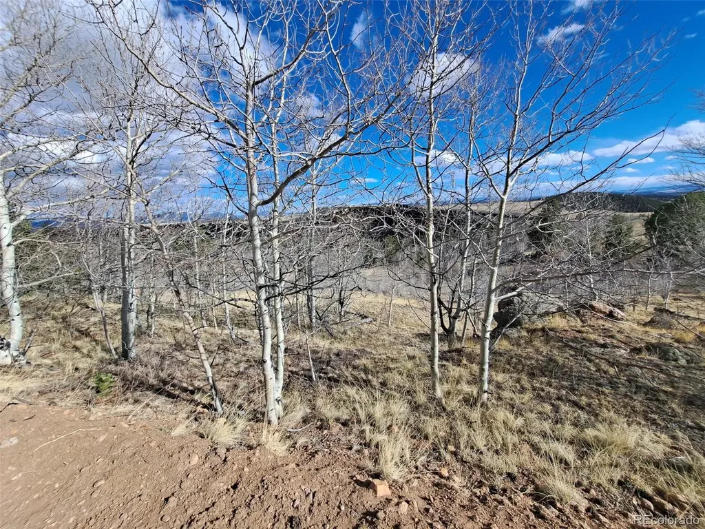 908 Raven Way Como CO 80432