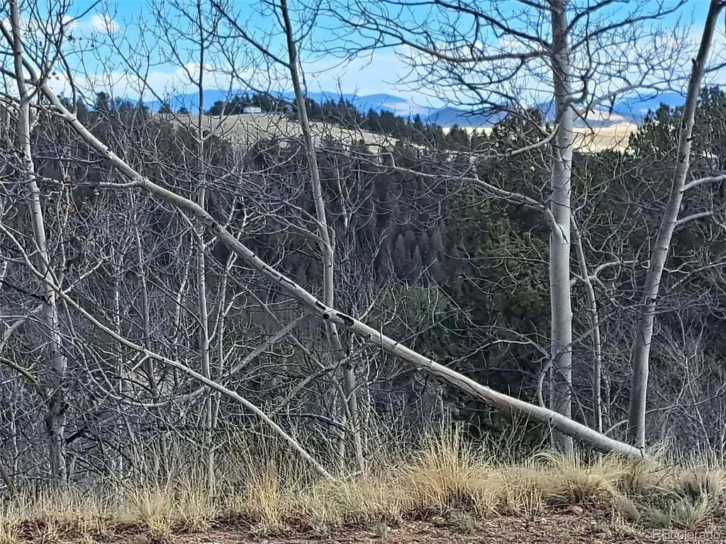 908 Raven Way Como CO 80432