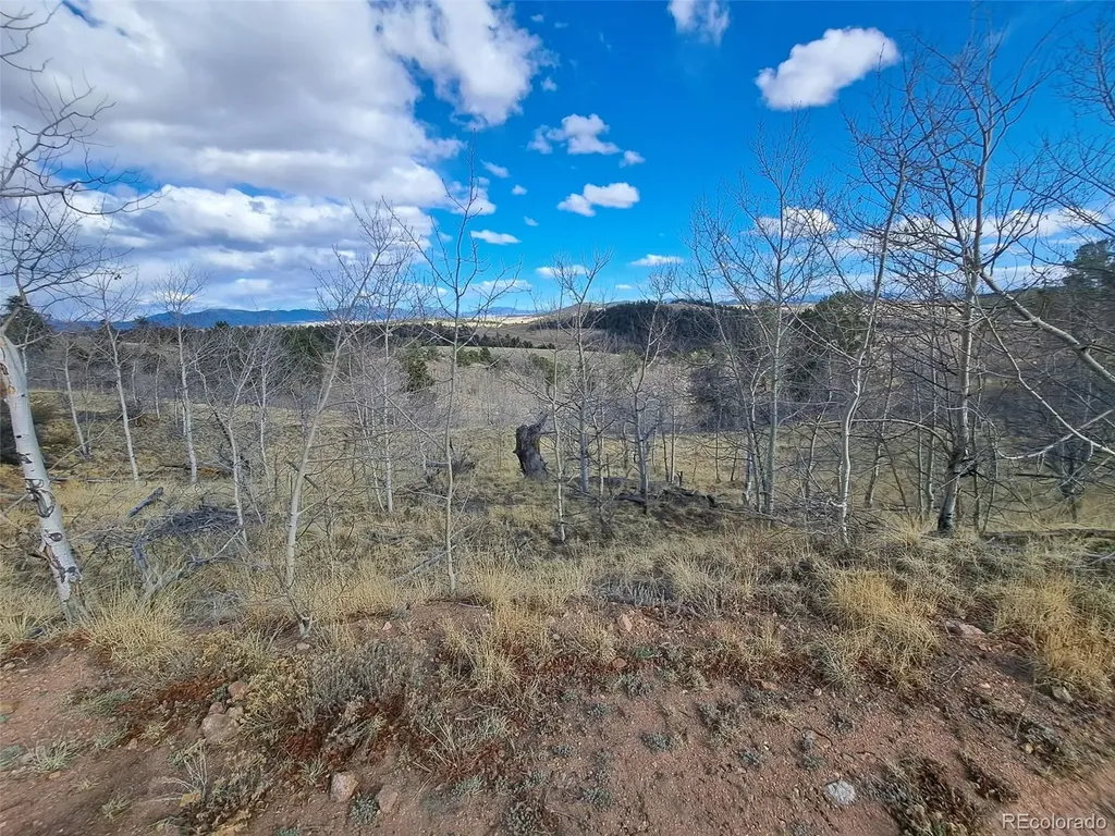 908 Raven Way Como CO 80432