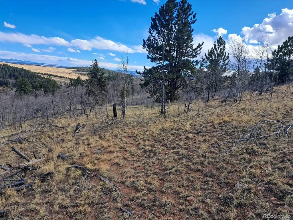 908 Raven Way Como CO 80432