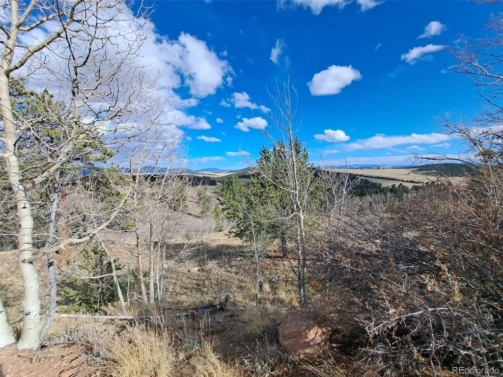 908 Raven Way Como CO 80432