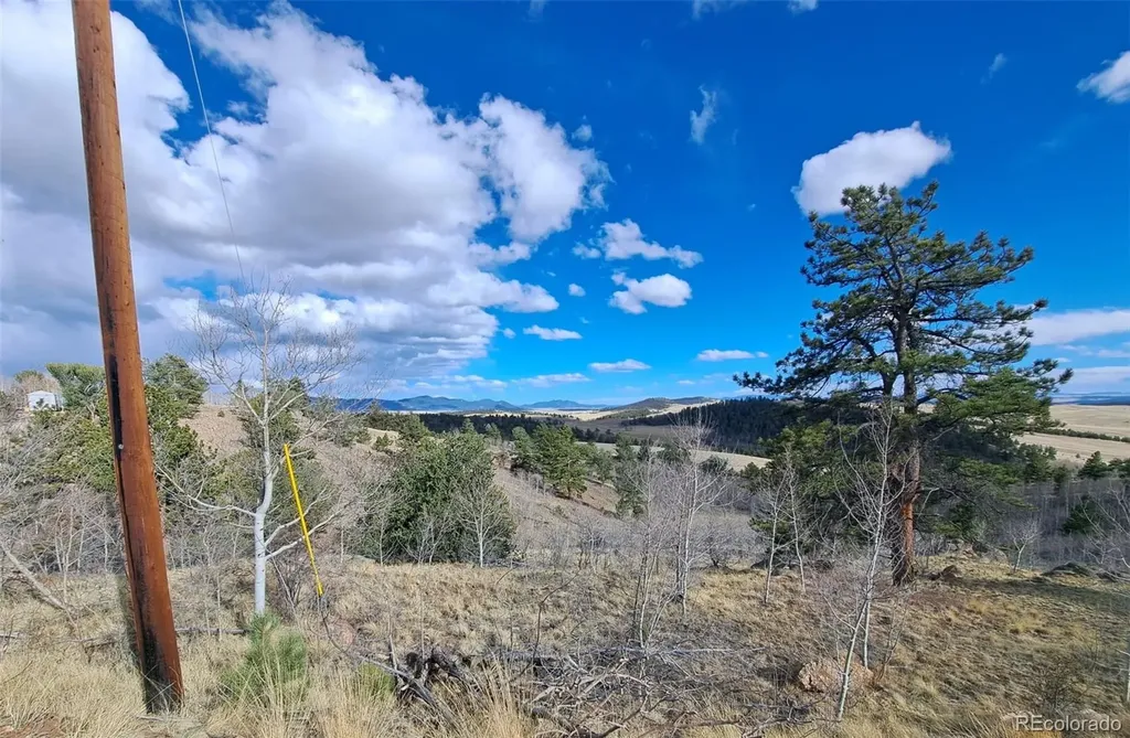 908 Raven Way Como CO 80432