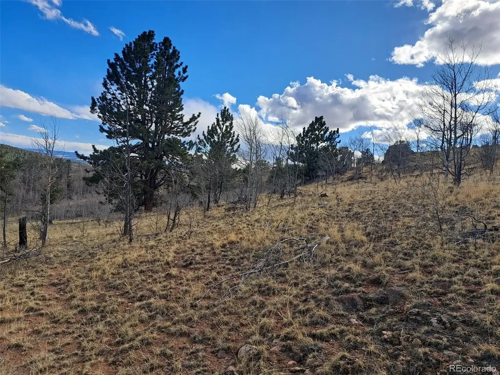 908 Raven Way Como CO 80432
