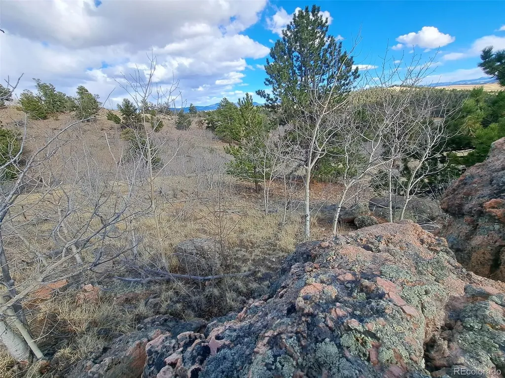908 Raven Way Como CO 80432