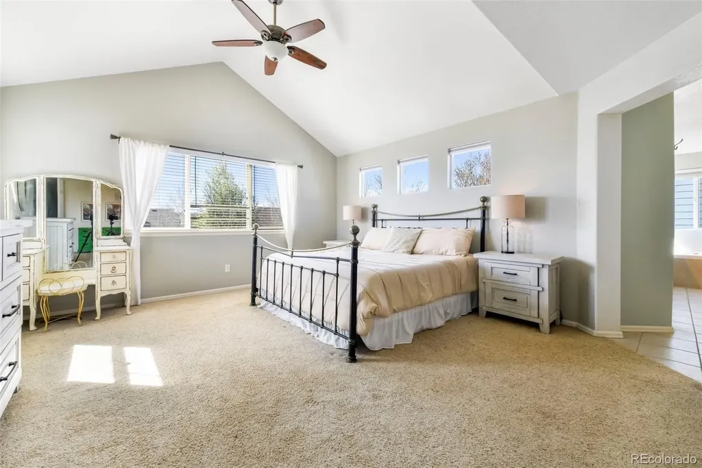 3524 Dove Valley Place Castle Rock CO 80108