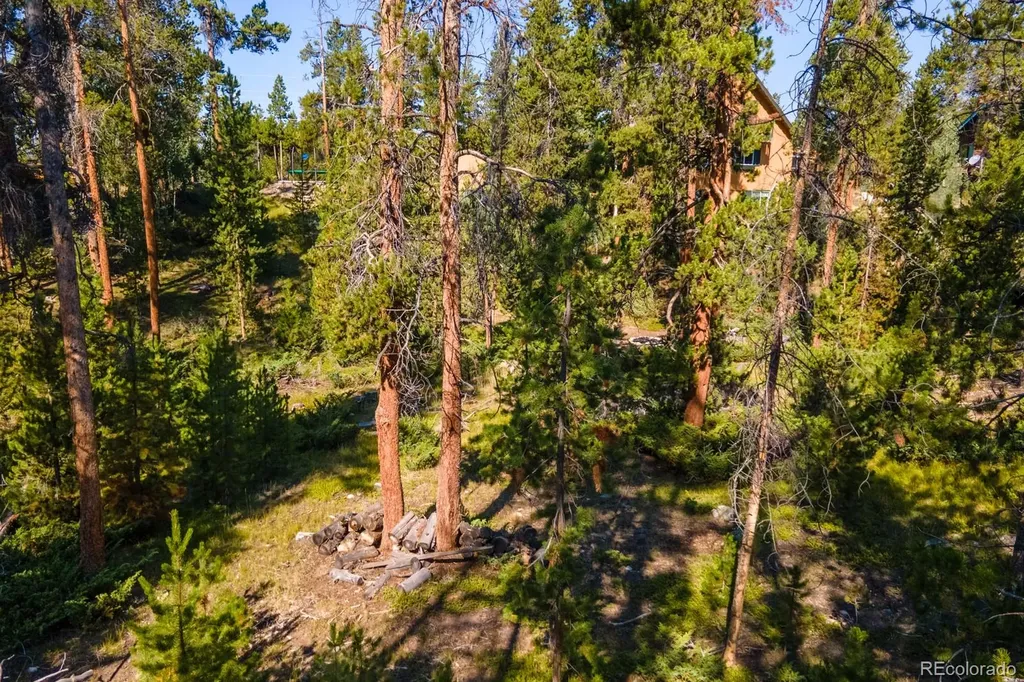 917 Tallaqua Drive Grand Lake CO 80447