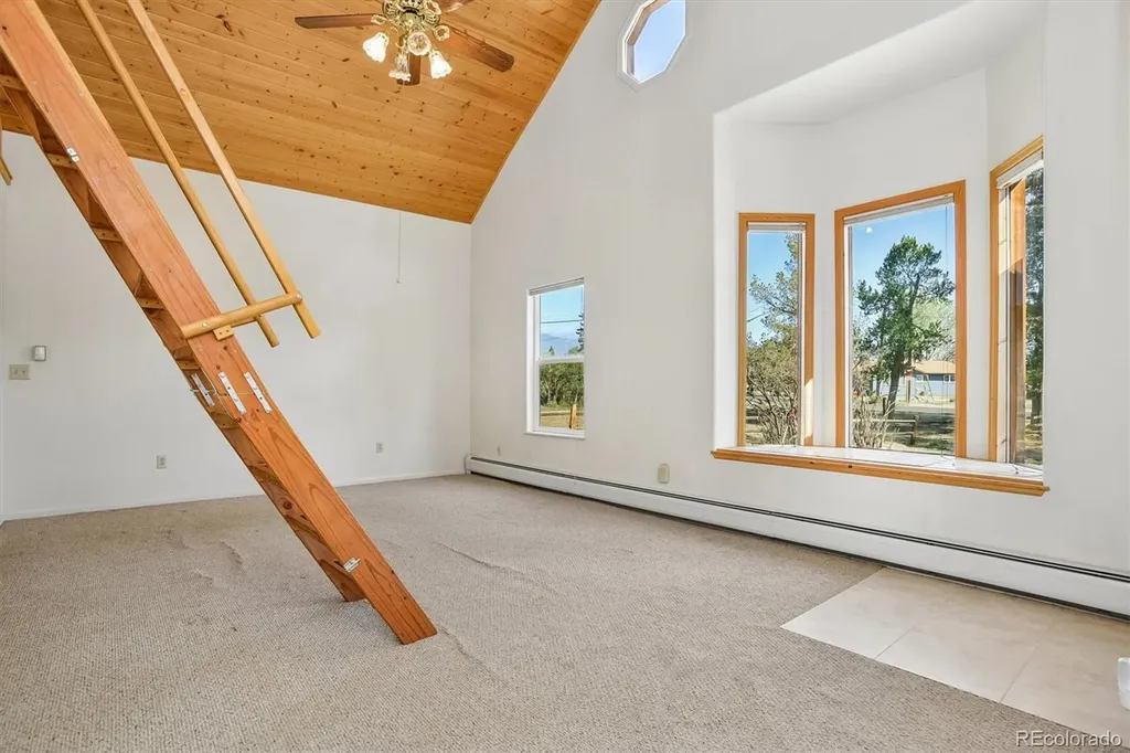 233 Brookdale Avenue Buena Vista CO 81211