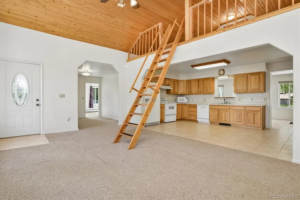 233 Brookdale Avenue Buena Vista CO 81211
