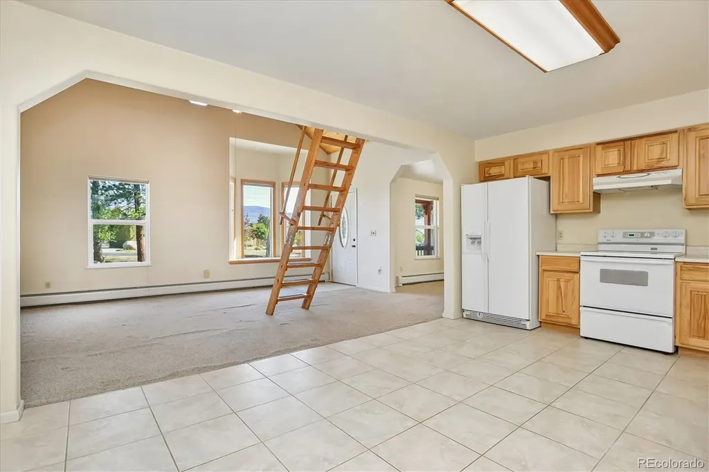 233 Brookdale Avenue Buena Vista CO 81211