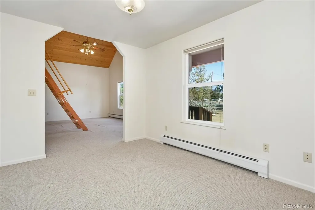 233 Brookdale Avenue Buena Vista CO 81211