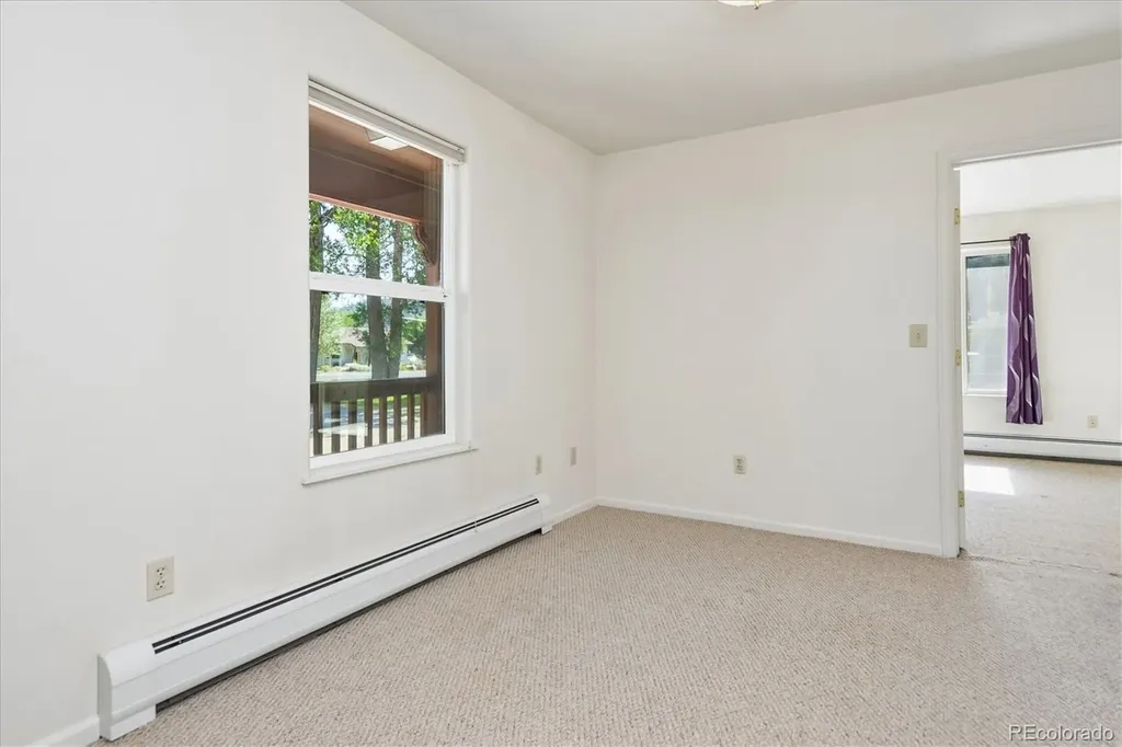 233 Brookdale Avenue Buena Vista CO 81211