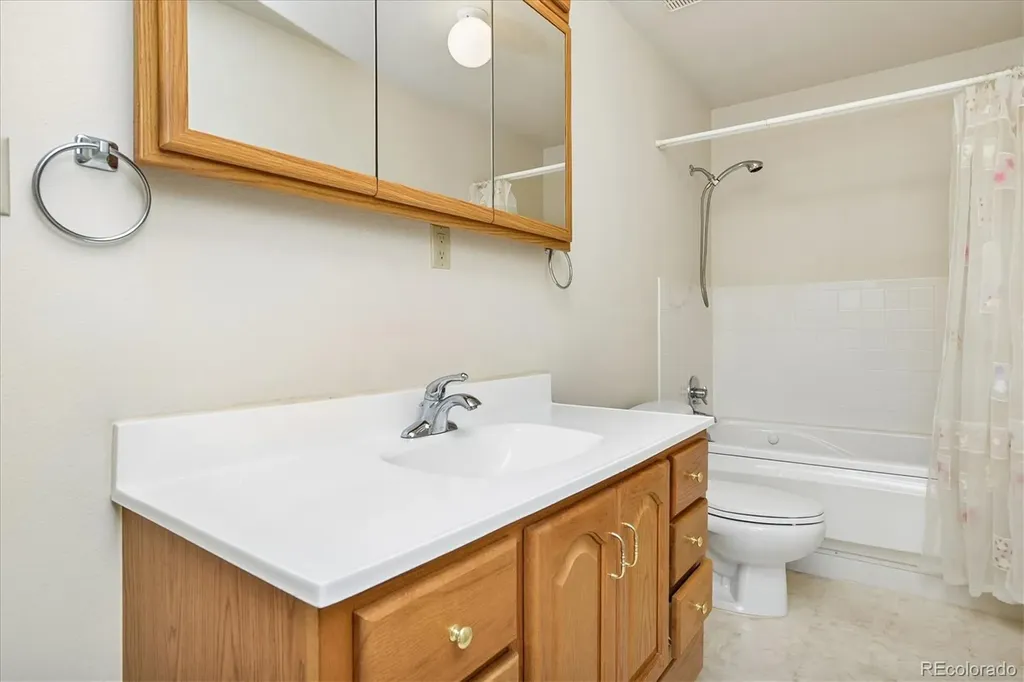 233 Brookdale Avenue Buena Vista CO 81211