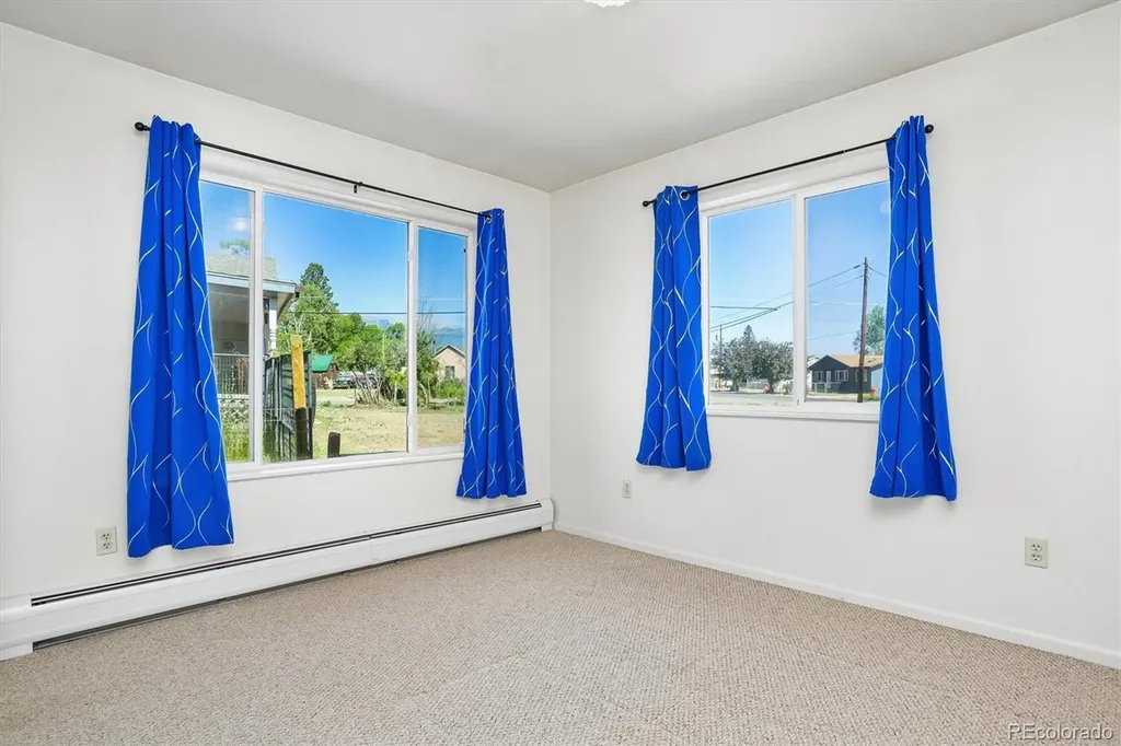 233 Brookdale Avenue Buena Vista CO 81211