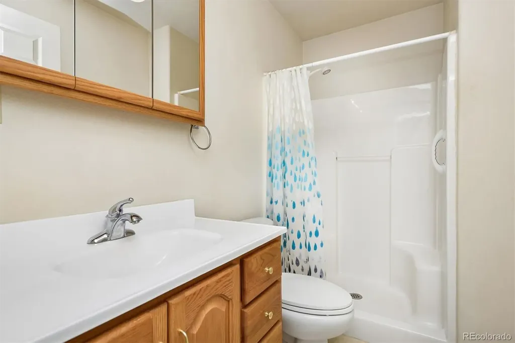 233 Brookdale Avenue Buena Vista CO 81211