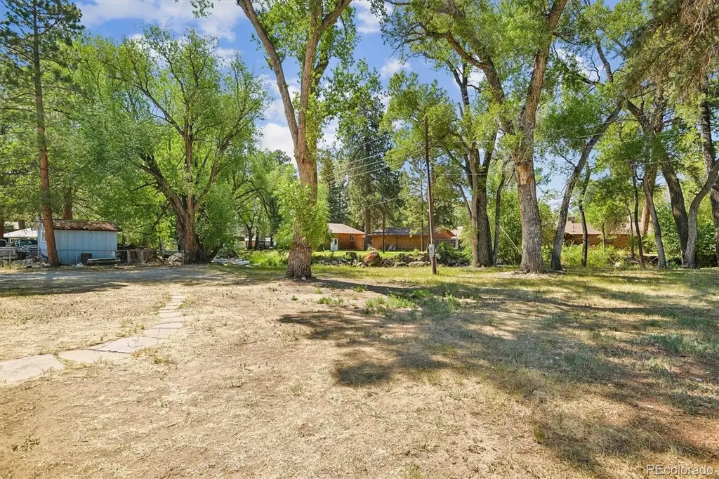 233 Brookdale Avenue Buena Vista CO 81211