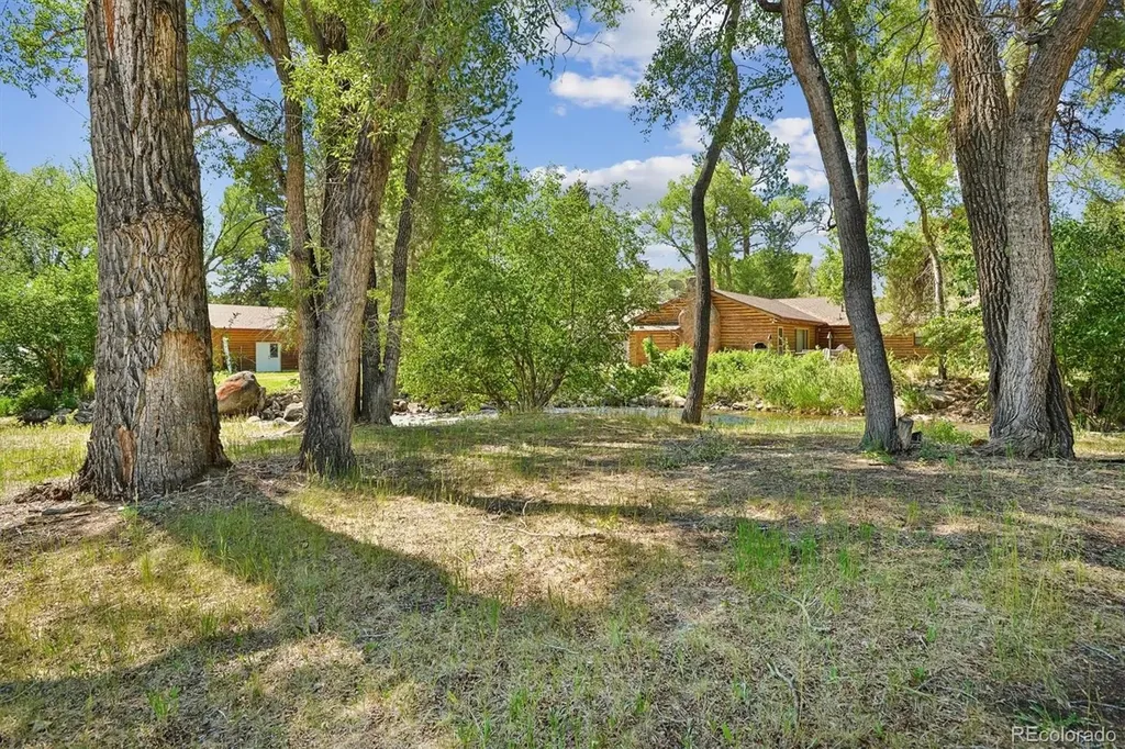 233 Brookdale Avenue Buena Vista CO 81211
