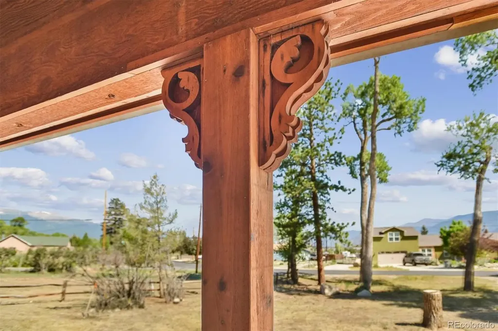 233 Brookdale Avenue Buena Vista CO 81211