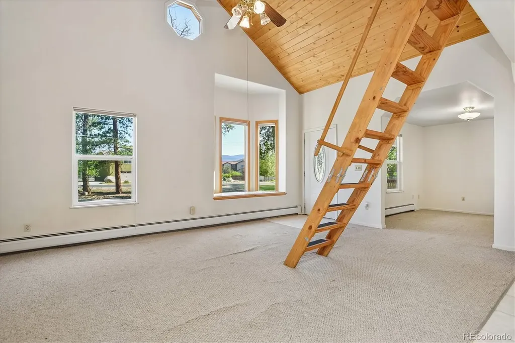 233 Brookdale Avenue Buena Vista CO 81211