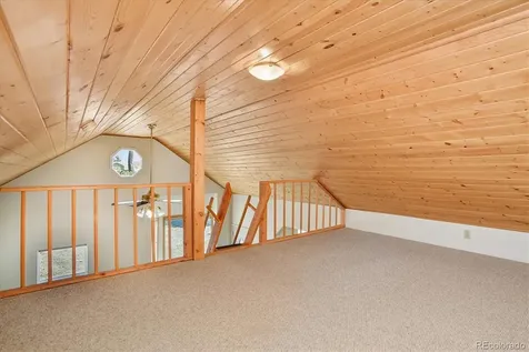 233 Brookdale Avenue Buena Vista CO 81211