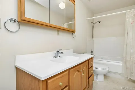 233 Brookdale Avenue Buena Vista CO 81211