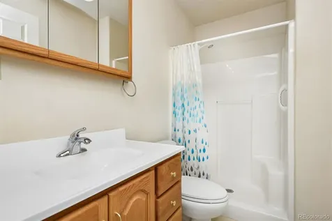 233 Brookdale Avenue Buena Vista CO 81211