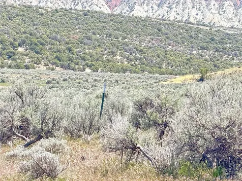 2 Valley Lane Dinosaur CO 81610