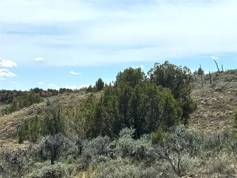 2 Valley Lane Dinosaur CO 81610