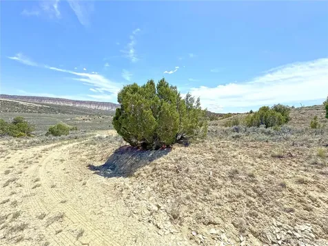 2 Valley Lane Dinosaur CO 81610