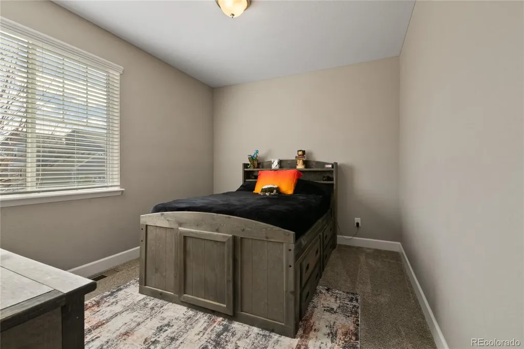 6655 Mentha Drive Castle Rock CO 80108