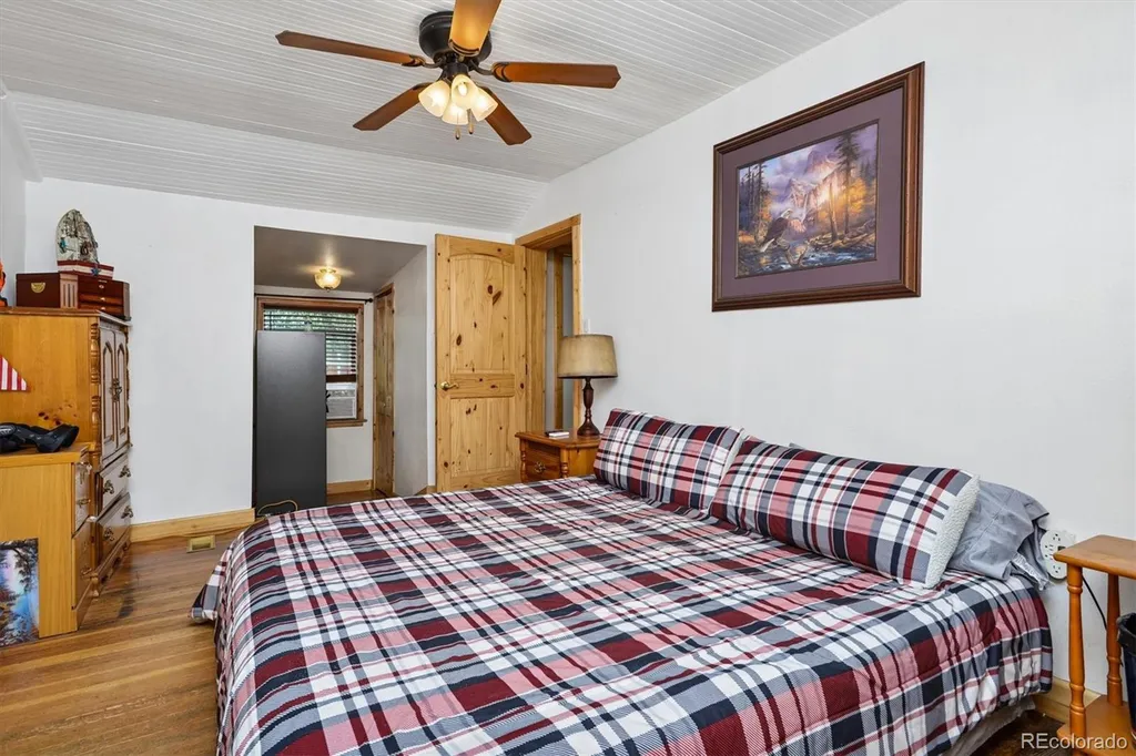 201 Mill Street Buena Vista CO 81211