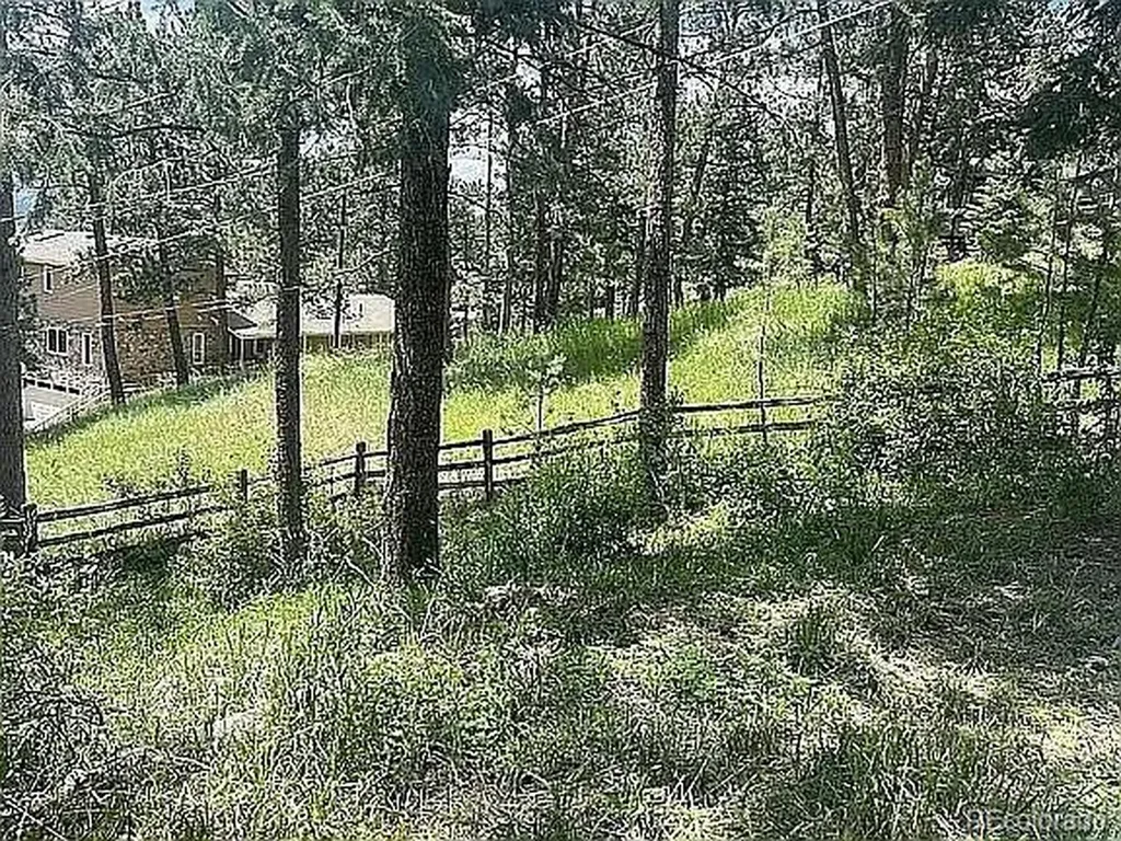 4660 Independence Trail Evergreen CO 80439