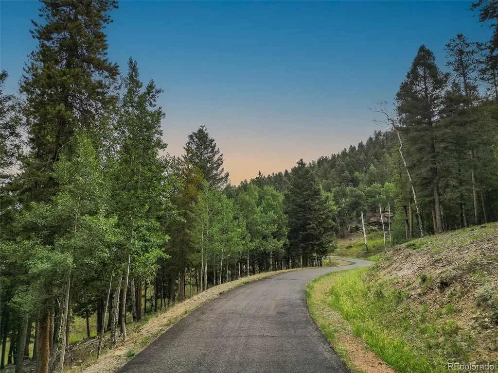 26545 Richmond Hill Road Conifer CO 80433